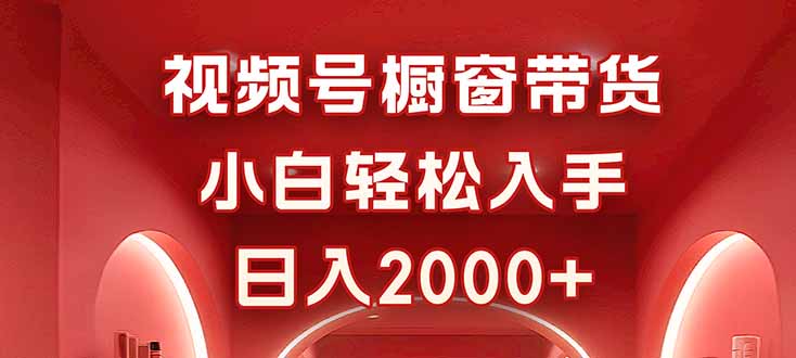 视频号橱窗带货，小白轻松入手，日入2000+-泡泡网赚