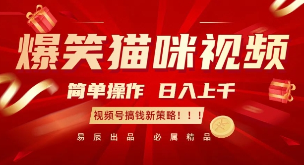 爆笑猫咪视频：简单操作，日入过K，视频号搞钱新策略【揭秘】-泡泡网赚