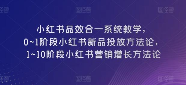 小红书品效合一系统教学，​0~1阶段小红书新品投放方法论，​1~10阶段小红书营销增长方法论-泡泡网赚