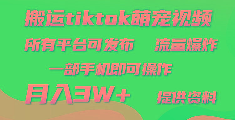 (9618期)搬运Tiktok萌宠类视频，一部手机即可。所有短视频平台均可操作，月入3W+-泡泡网赚