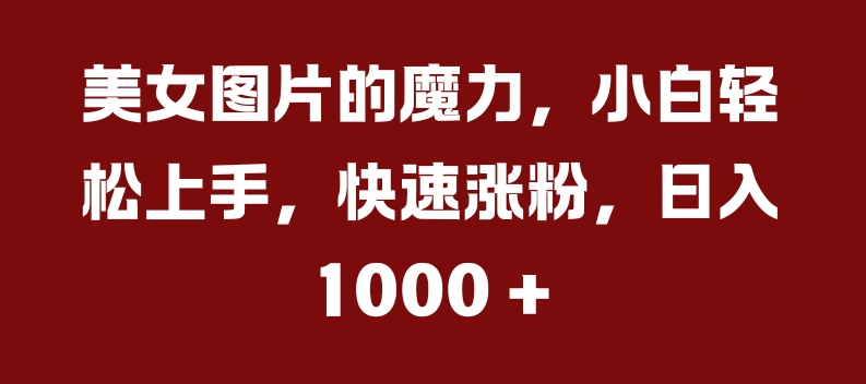 美女图片的魔力，小白轻松上手，快速涨粉，日入几张【揭秘】-泡泡网赚