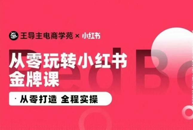 王导主·小红书电商运营实操课，​从零打造  全程实操-泡泡网赚