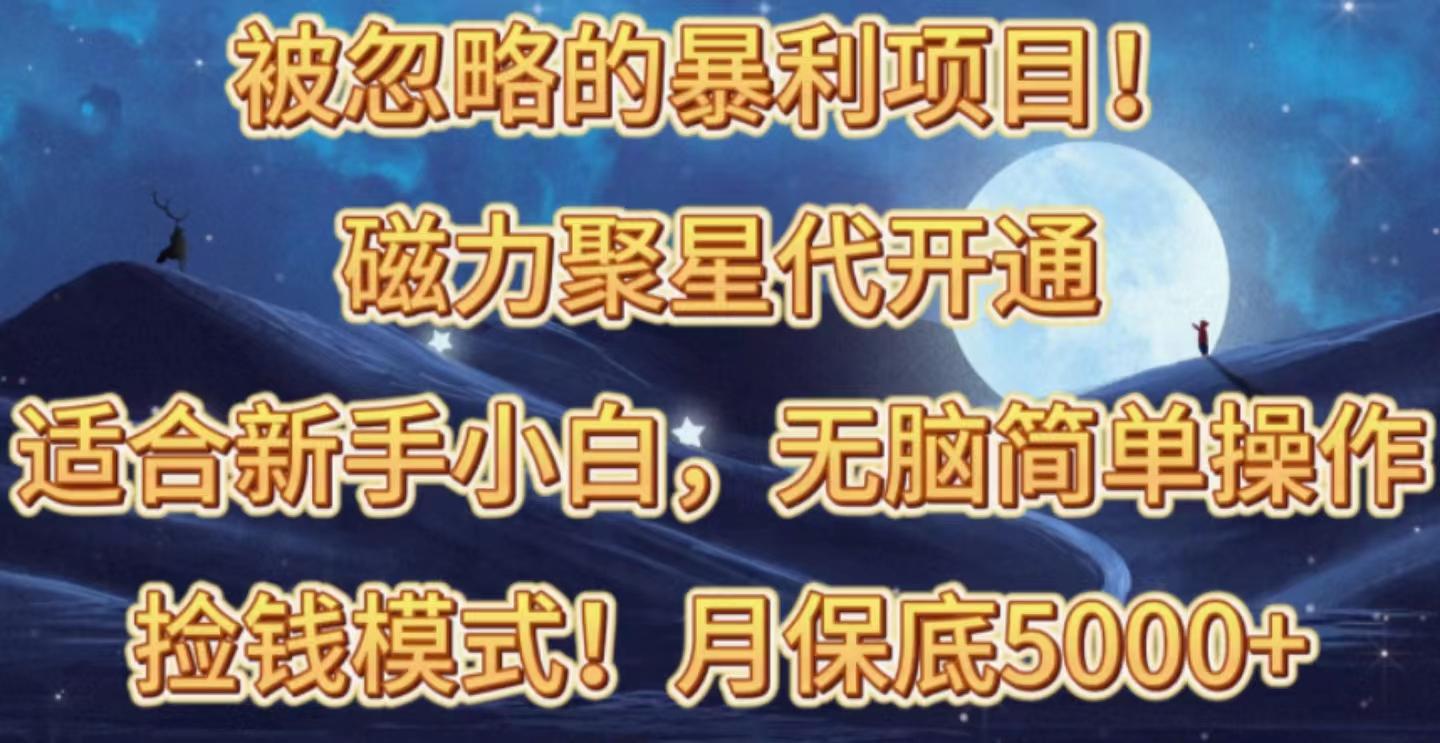 被忽略的暴利项目！磁力聚星代开通捡钱模式，轻松月入五六千-泡泡网赚