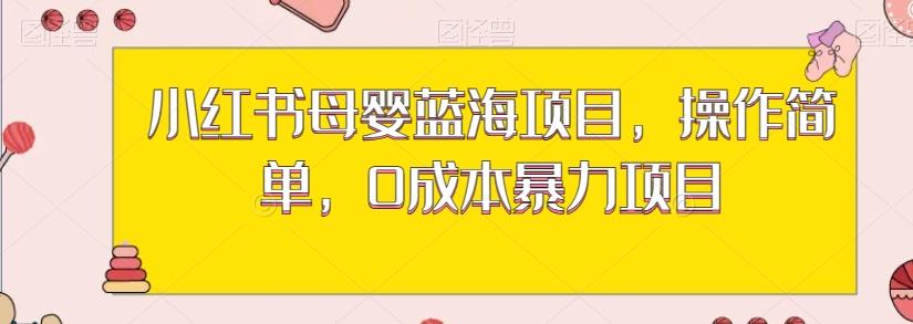 小红书母婴蓝海项目，操作简单，0成本暴力项目-泡泡网赚
