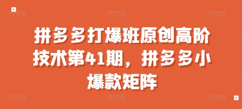 拼多多打爆班原创高阶技术第41期，拼多多小爆款矩阵-泡泡网赚