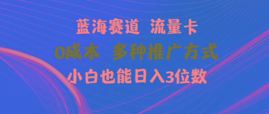 蓝海赛道 流量卡 0成本 小白也能日入三位数-泡泡网赚