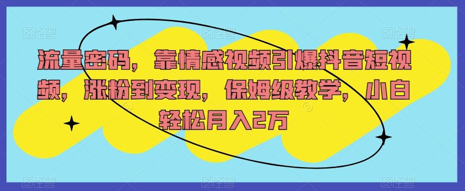 流量密码，靠情感视频引爆抖音短视频，涨粉到变现，保姆级教学，小白轻松月入2万【揭秘】-泡泡网赚