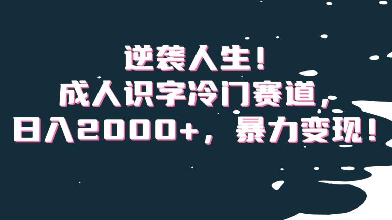 逆袭人生！成人识字冷门赛道，日入2000+，暴力变现！【揭秘】-泡泡网赚