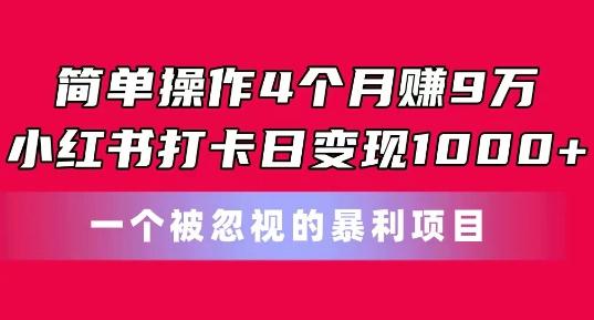 简单操作4个月赚9w，小红书打卡日变现1k，一个被忽视的暴力项目【揭秘】-泡泡网赚