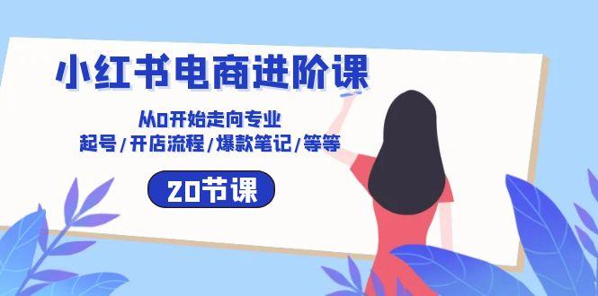 小红书电商进阶课：从0开始走向专业 起号/开店流程/爆款笔记/等等(20节-泡泡网赚