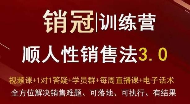 爆款！销冠训练营3.0之顺人性销售法，全方位解决销售难题、可落地、可执行、有结果-泡泡网赚