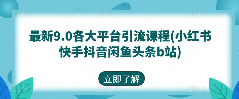 最新9.0各大平台引流课程(小红书快手抖音闲鱼头条b站)-泡泡网赚