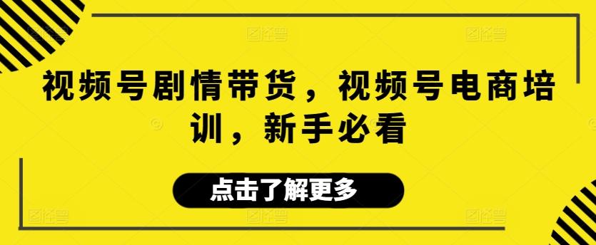 视频号剧情带货，视频号电商培训，新手必看-泡泡网赚