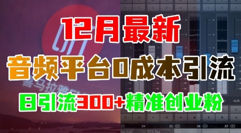 12月最新：音频平台0成本引流，日引流300+精准创业粉-泡泡网赚
