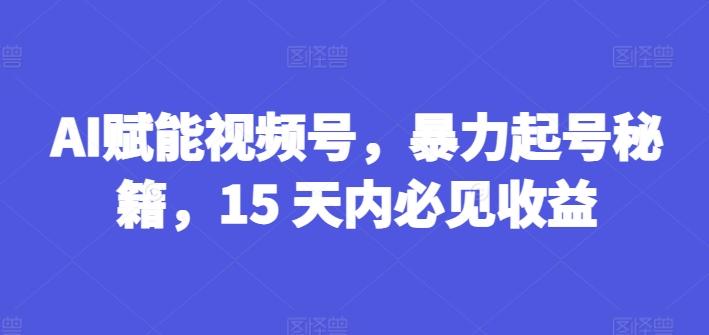AI赋能视频号，暴力起号秘籍，15 天内必见收益【揭秘】-泡泡网赚