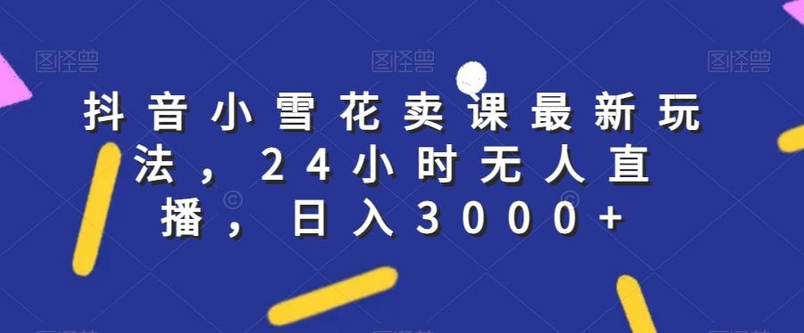 抖音小雪花卖课最新玩法，24小时无人直播，日入3000+【揭秘】-泡泡网赚