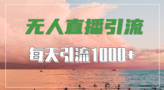 抖音快手视频号全平台通用，无人直播引流法，超暴力引流1000+高质量精准创业粉【揭秘】-泡泡网赚