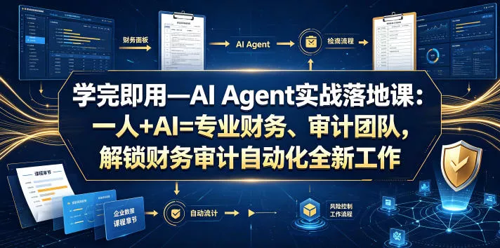 学完即用—AI Agent实战落地课：一人+AI=专业财务、审计团队，解锁财务审计自动化全新工作模式(更新0804)-泡泡网赚