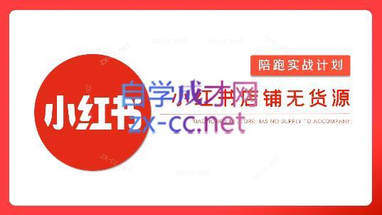 安琪·小红书店铺无货源-泡泡网赚
