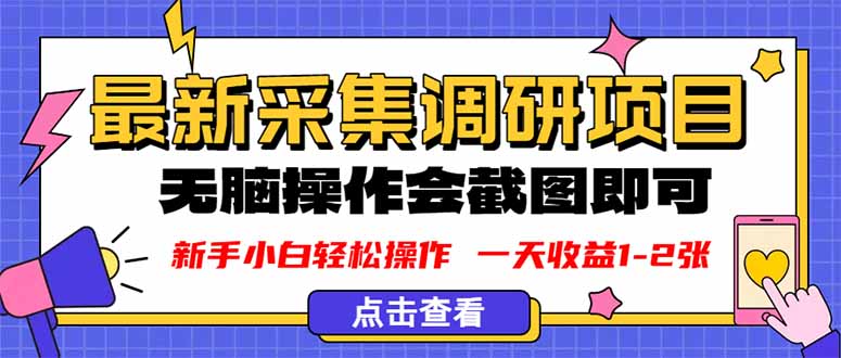 新版采集调研项目，截图上传即可，无脑操作，日收益1-2张-泡泡网赚