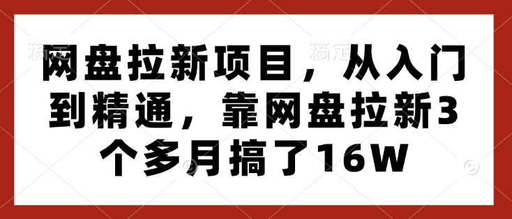 网盘拉新项目，从入门到精通，靠网盘拉新3个多月搞了16W-泡泡网赚