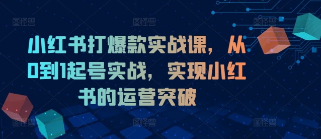 小红书打爆款实战课，从0到1起号实战，实现小红书的运营突破-泡泡网赚