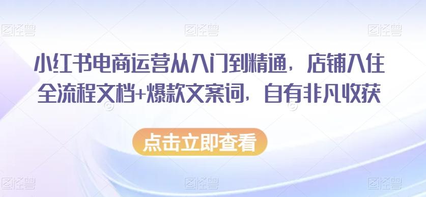 小红书电商运营从入门到精通，店铺入住全流程文档+爆款文案词，自有非凡收获-泡泡网赚