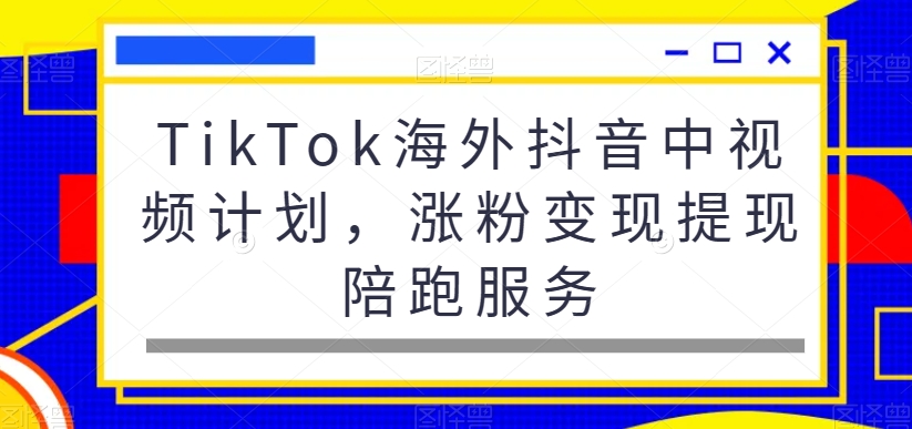 TikTok海外抖音中视频计划，涨粉变现提现陪跑服务-泡泡网赚