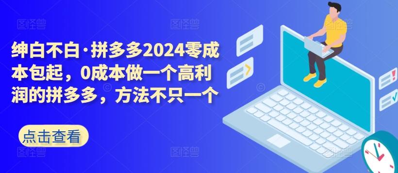 拼多多2024零成本包起，0成本做一个高利润的拼多多，方法不只一个-泡泡网赚
