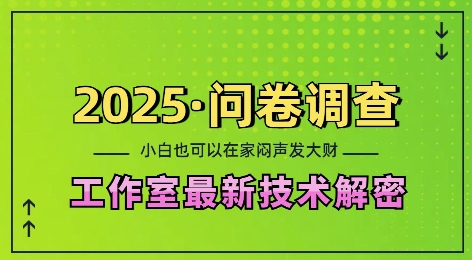 2025问卷调查最新工作室技术解密：一个人在家也可以闷声发大财，小白一天2张，可矩阵放大【揭秘】-泡泡网赚