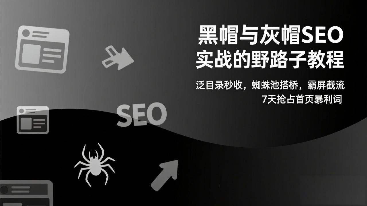 黑帽与灰帽SEO实战的野路子教程：泛目录秒收，蜘蛛池搭桥，霸屏截流，7天抢占首页暴利词-泡泡网赚