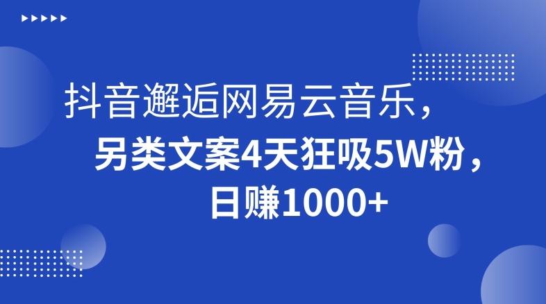 抖音邂逅网易云音乐，另类文案4天狂吸5W粉，日赚1000+【揭秘】-泡泡网赚