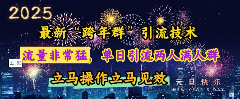 最新“跨年群”引流，流量非常猛，单日引流两人满人群，立马操作立马见效【揭秘】-泡泡网赚