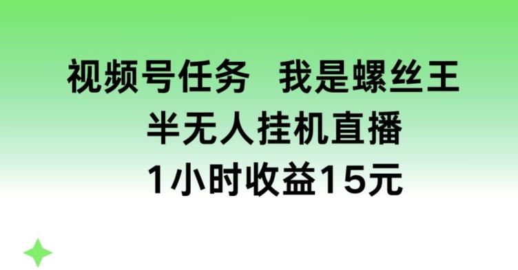 视频号任务，我是螺丝王， 半无人挂机1小时收益15元【揭秘】-泡泡网赚