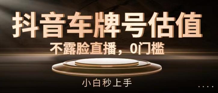 抖音车牌号估值，不露脸直播，0门槛，小白秒上手【揭秘】-泡泡网赚
