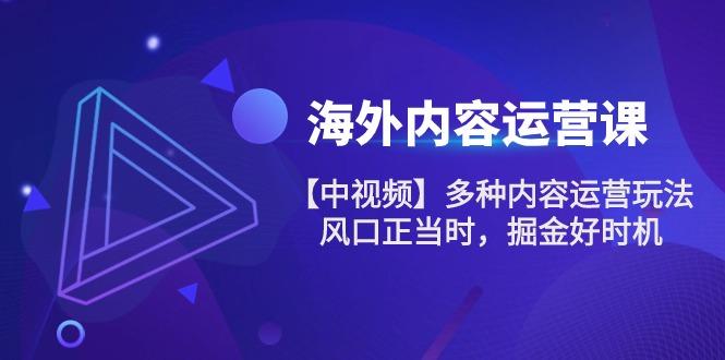 海外内容 运营课【中视频】多种内容运营玩法 风口正当时 掘金好时机-101节-泡泡网赚