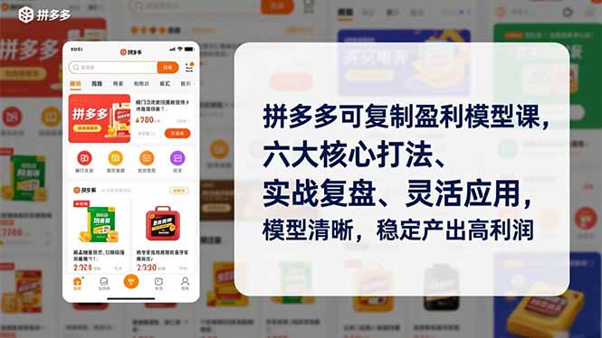拼多多可复制盈利模型课，六大核心打法、实战复盘、灵活应用，模型清晰，稳定产出高利润-泡泡网赚