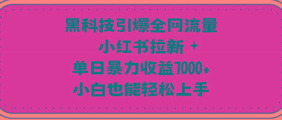 (9679期)黑科技引爆全网流量小红书拉新，单日暴力收益7000+，小白也能轻松上手-泡泡网赚
