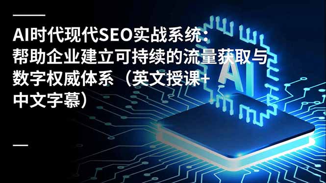 AI时代现代SEO实战系统：帮助企业建立可持续的流量获取与数字权威体系(英文授课+中文字幕-泡泡网赚