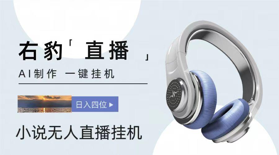 右豹小说无人直播挂机吸金项目，简单易行收益稳定， 月入1000+-泡泡网赚