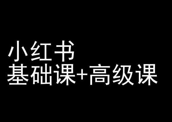 小红书基础课+高级课-小红书运营教程-泡泡网赚
