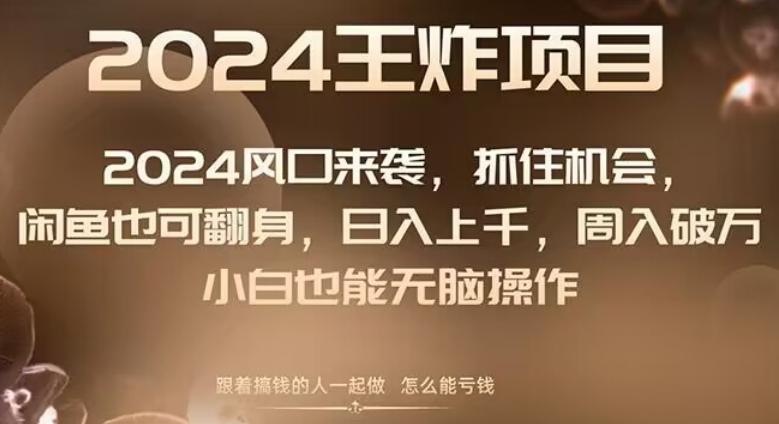 2024风口项目来袭，抓住机会，闲鱼也可翻身，日入上千，周入破万，小白也能无脑操作-泡泡网赚