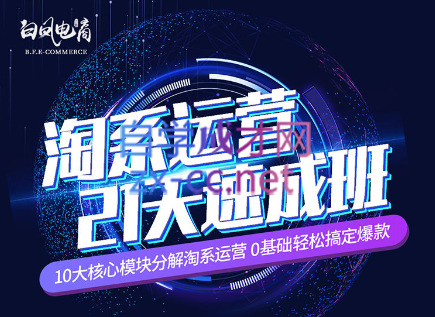 淘系运营21天速成班(更新7月)-泡泡网赚