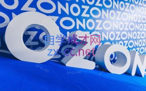 森哥·出海俄罗斯电商实操(2024)-泡泡网赚