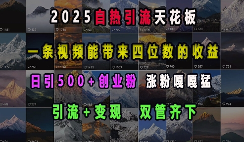 2025自热引流天花板，一条视频能带来四位数的收益，引流+变现双管齐下，日引500+创业粉，涨粉嘎嘎猛-泡泡网赚