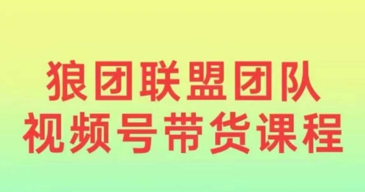 狼团联盟2024视频号带货，0基础小白快速入局视频号-泡泡网赚