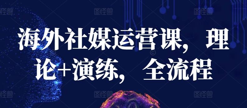 海外社媒运营课，理论+演练，全流程-泡泡网赚