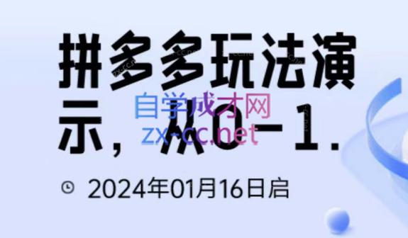 吴老师·拼多多从选品到截流到付费的玩法技巧-泡泡网赚