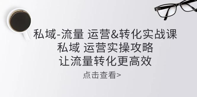 私域-流量 运营&转化实操课：私域 运营实操攻略 让流量转化更高效-泡泡网赚