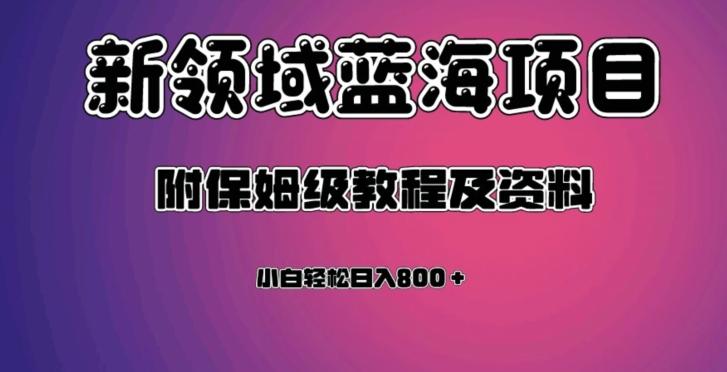 虚拟资源蓝海领域新项目，轻松日入800＋，附保姆级教程及资料-泡泡网赚